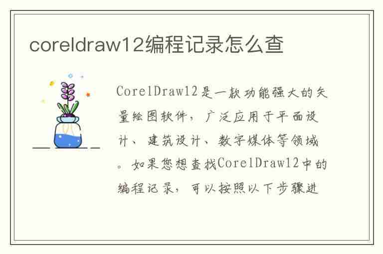 coreldraw12编程记录怎么查